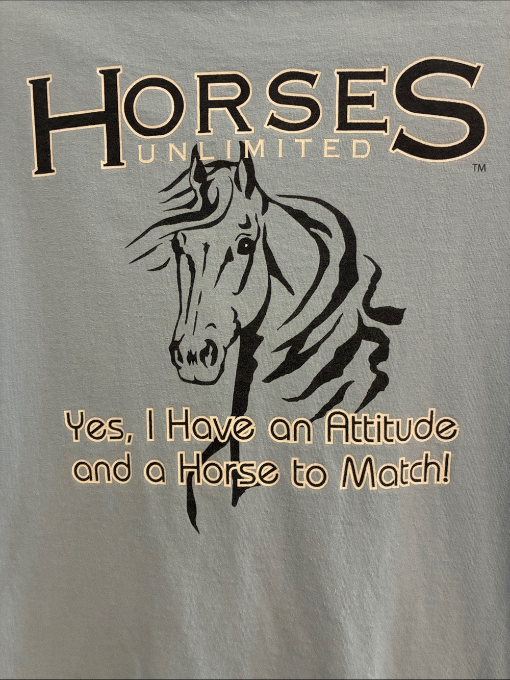 Horses Unlimited Graphic Tee - Light Blue with Black Print
